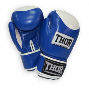 Boxing gloves Thor - Competition 500/02 (leather) blue-white