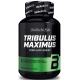 Трибулус BioTech - Tribulus Maximus 1500 мг Extra Strong (90 таблеток)
