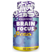 Поддержка памяти и концентрации AllNutrition - Brain Focus (60 капсул)