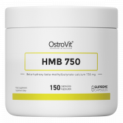 OstroVit Anti-Catabolic Supplement - HMB 750