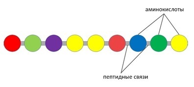 Что вызывает денатурацию белка. Смотреть фото Что вызывает денатурацию белка. Смотреть картинку Что вызывает денатурацию белка. Картинка про Что вызывает денатурацию белка. Фото Что вызывает денатурацию белка